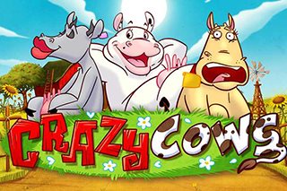 Crazy Cows